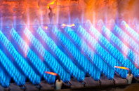 Duntisbourne Leer gas fired boilers